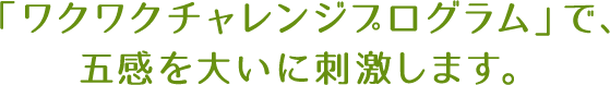 「ワクワクチャレンジプログラム」で、五感を大いに刺激します。